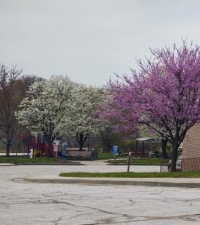 Hanson Park in the spring